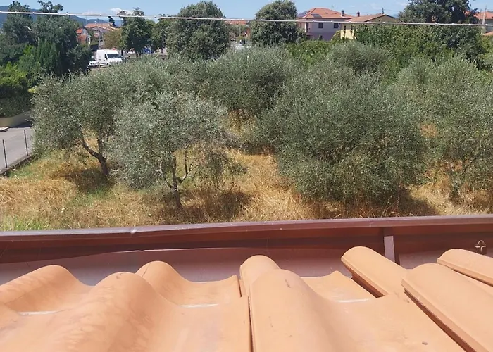 Ornella Apartmán Luni