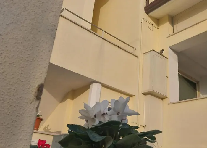 Ornella *